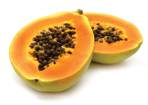 papaya