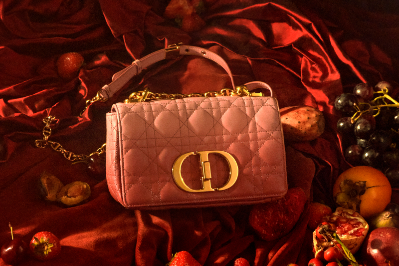 Yeni Bir Aksesuar Ailesi: Dior Caro