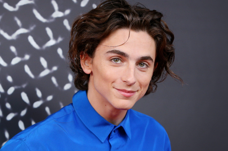 Timothée Chalamet Willy Wonka’yı Canlandıracak