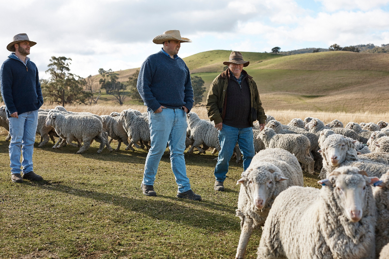 Woolmark’tan Merinos Yününün Kalitesini, Değerini ve Sürdürülebilir Moda İçin Önemini Anlatan Yeni Bir Kampanya 